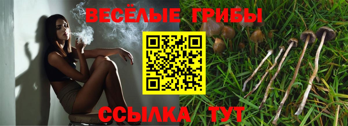 Псилоцибиновые грибы Cubensis Стрежевой