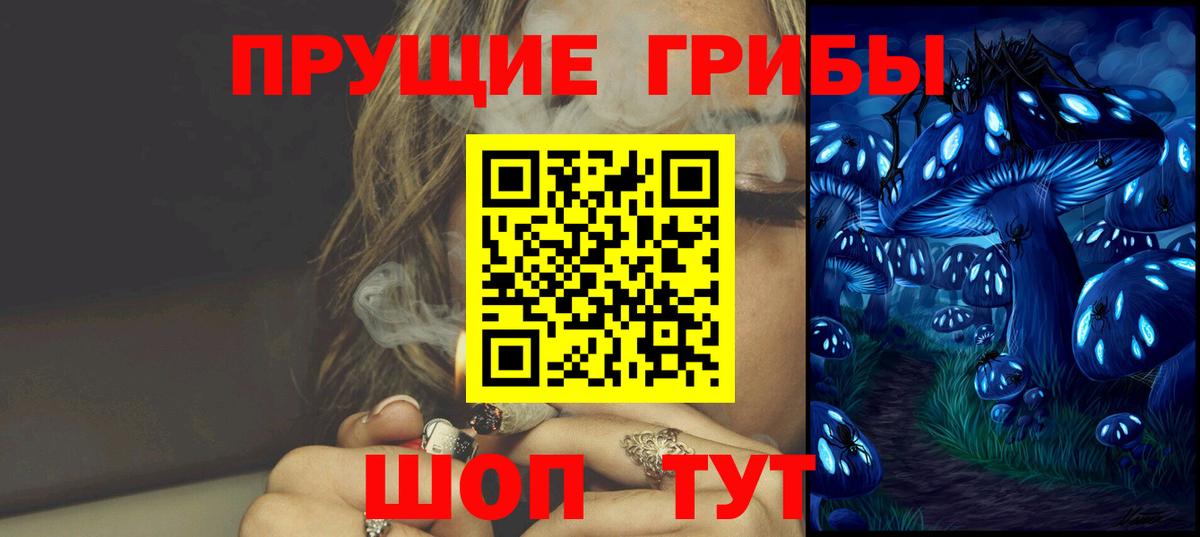 Стрежевой  Галлюциногенные грибы Cubensis  Вход с VPN 